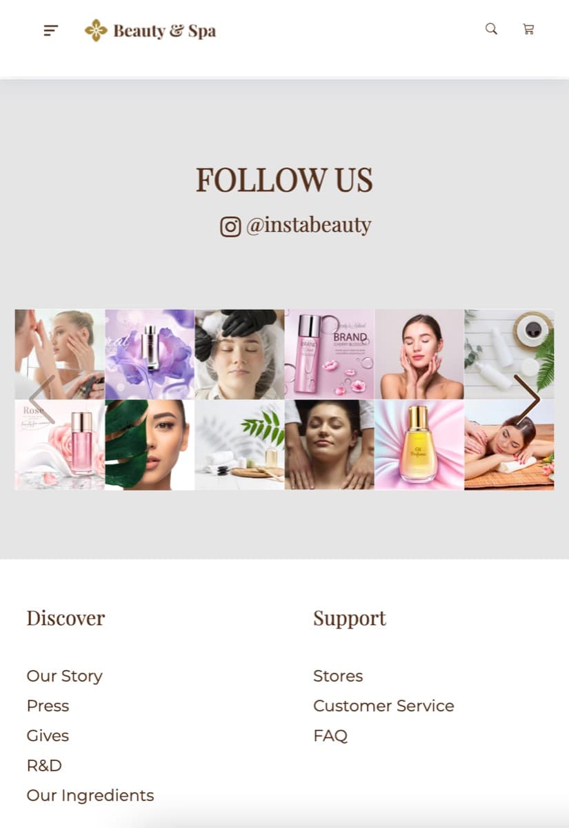Instagram feed section on mobile